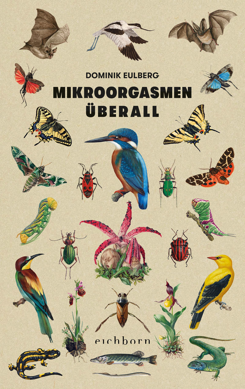 Mikroorgasmen überall von Dominik Eulberg